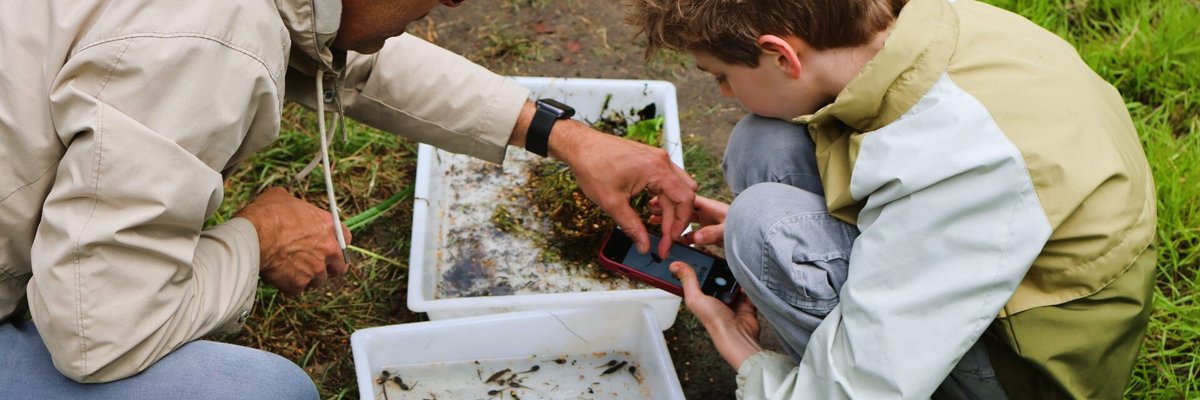 Citizen science en AI helpen bij monitoring van waterdiertjes