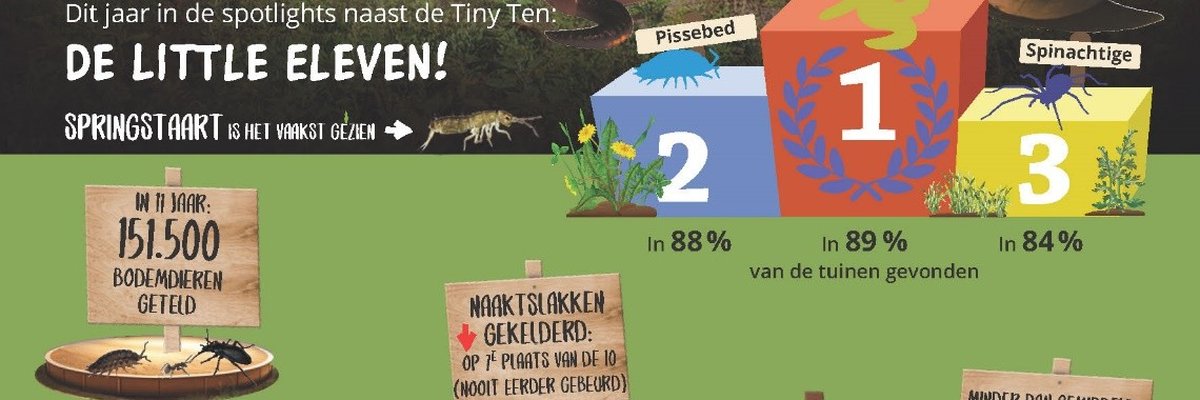 Bodemdierendagen 2025