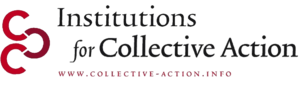 Social Enterprise and Institutions for Collective Action