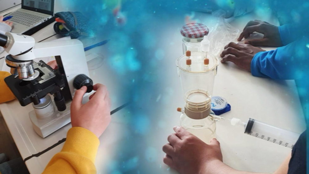 Image for Microplastics