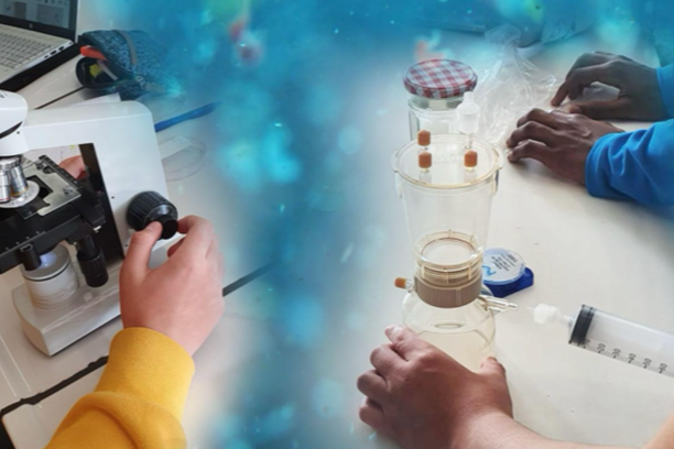 Image for Microplastics