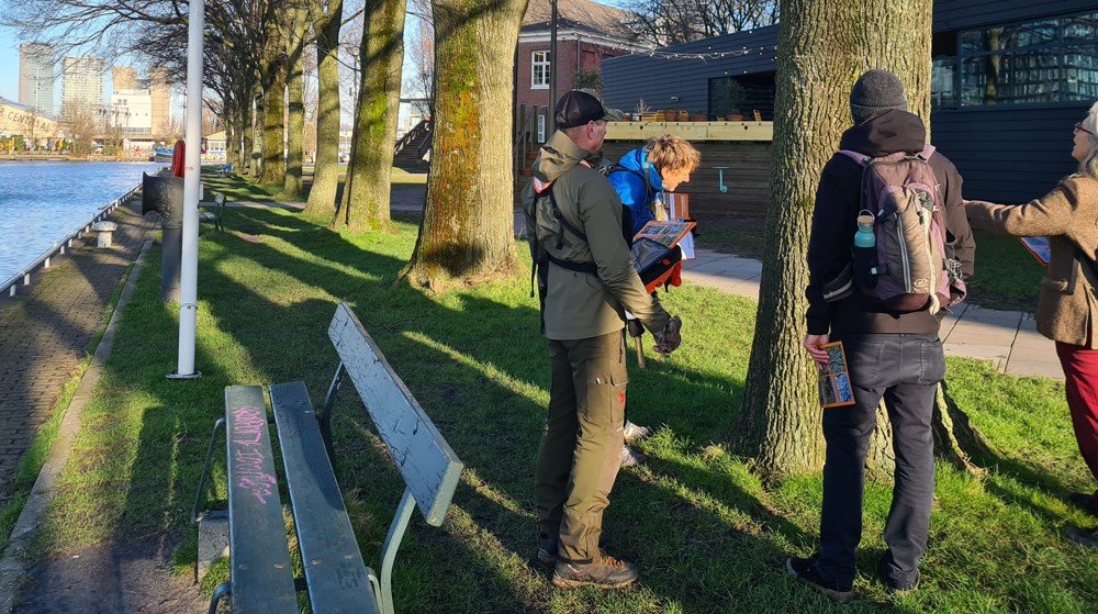 Image for Korstmossen en Stadsklimaat