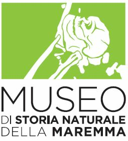 Fondazione Grosseto Cultura